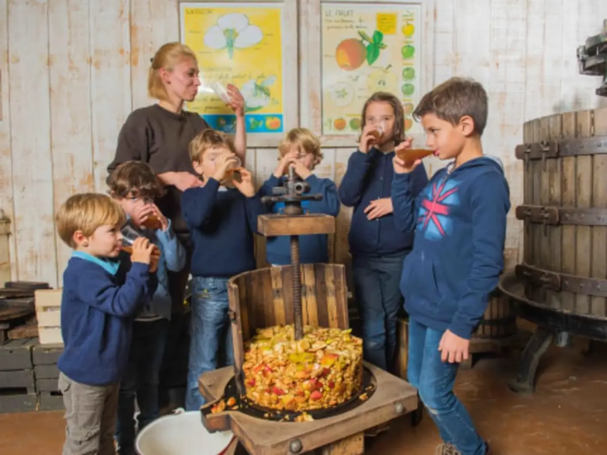 Atelier Jus de Pomme & Animaux Ferme de Gally de Sartrouville