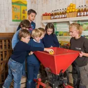 Atelier Jus de pomme & Visite de la Ferme de Gally Saint-Denis