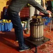 Atelier jus de pomme - Ferme-musée du Cotentin