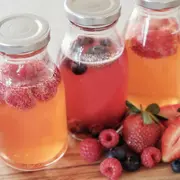 Atelier Kéfir De Fruits