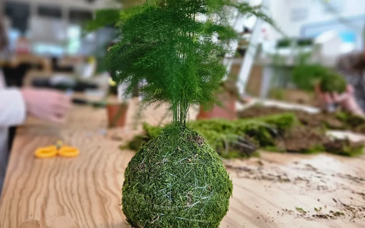 atelier kokedama paris