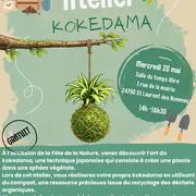 Atelier Kokedama