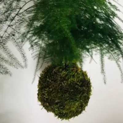 Val-d'Oise : nos 10 idées sorties du week-end