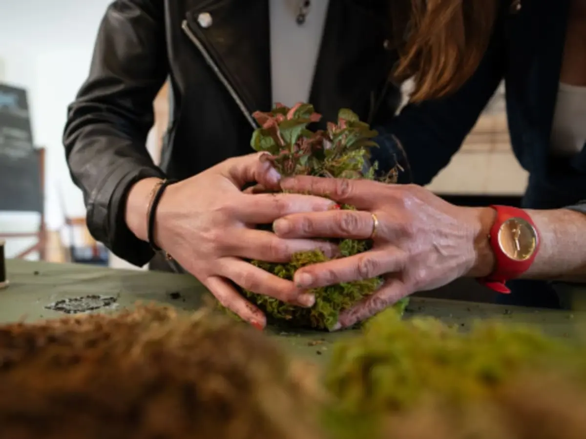 Atelier Kokedama à Rezé (44)