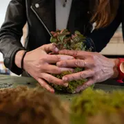 Atelier Kokedama à Rezé (44)
