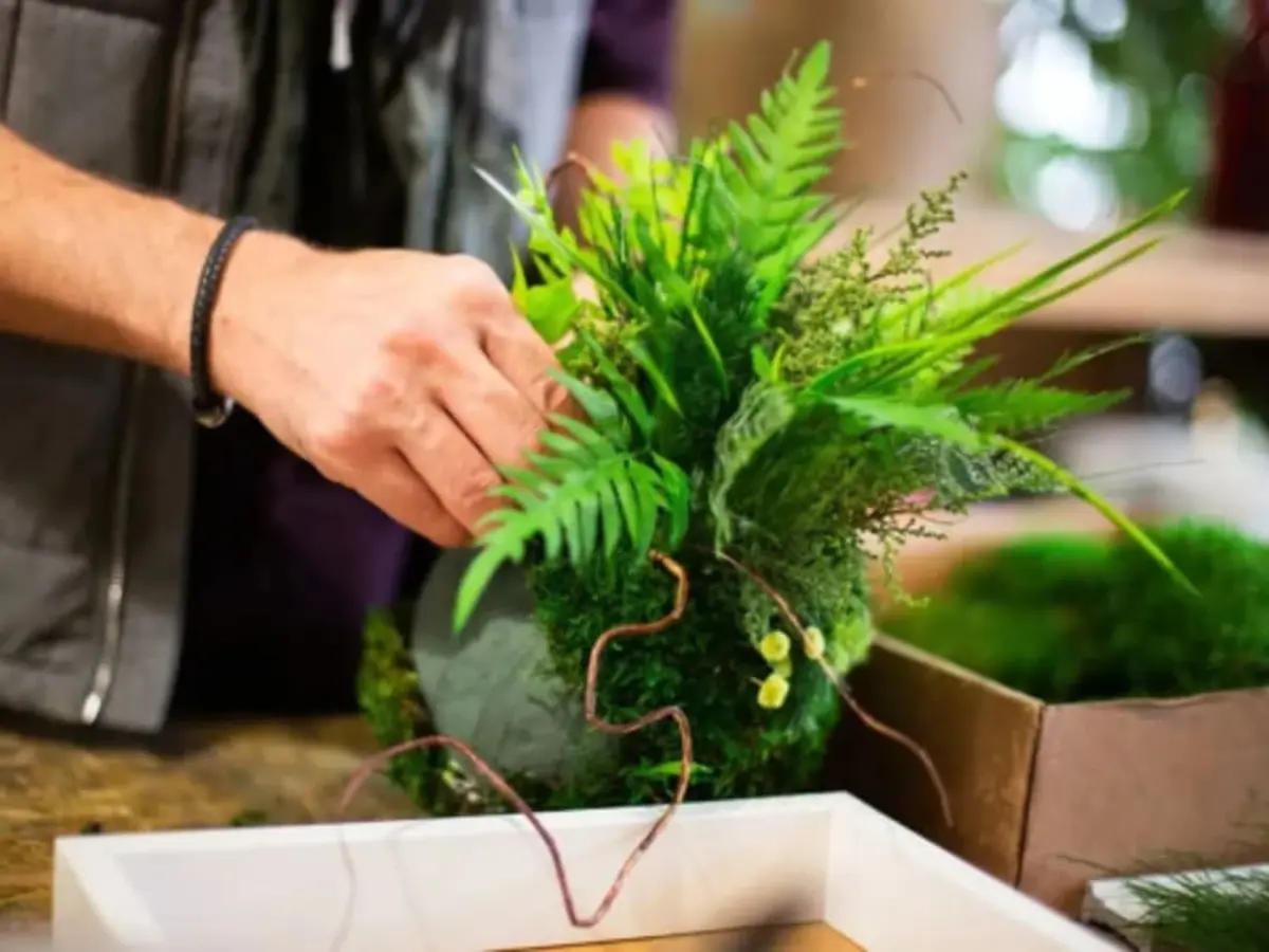 Atelier Kokedama à Saint-Genis-Laval (69)