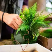 Atelier Kokedama à Saint-Genis-Laval (69)