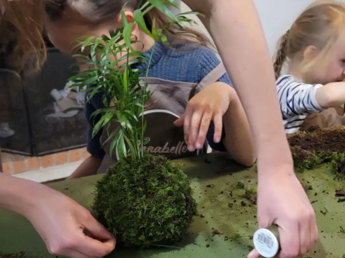 Atelier Kokedama parent/enfant à Nantes (44)