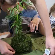 Atelier Kokedama parent/enfant à Nantes (44)