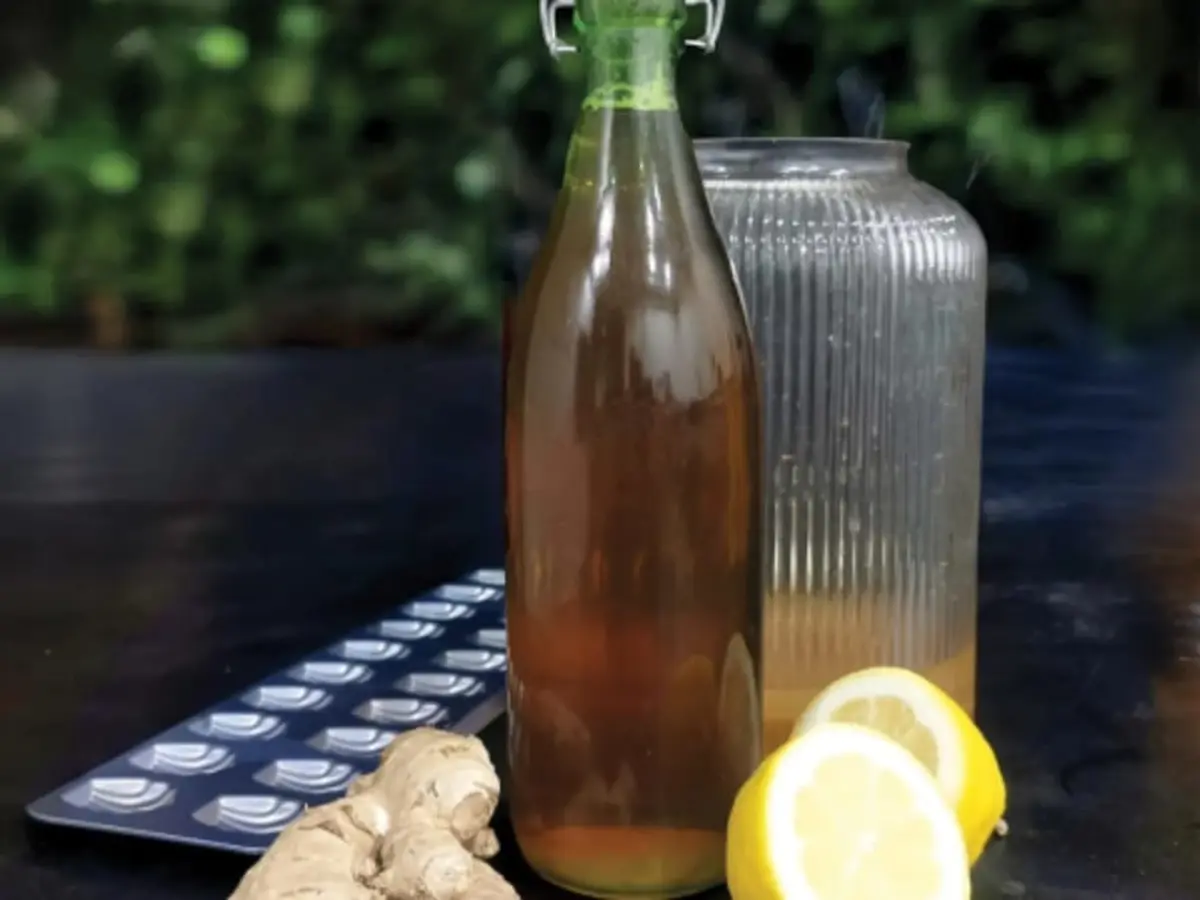 Atelier Kombucha et Madeleine au Matcha à Vincennes (94)