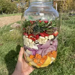Atelier Kombucha, Kéfir, Boissons Fermentées...