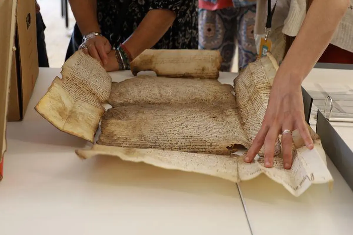 Atelier La conservation en action
