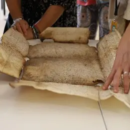 Atelier La conservation en action