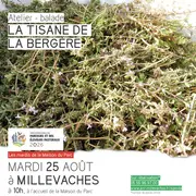 Atelier La tisane de la bergère