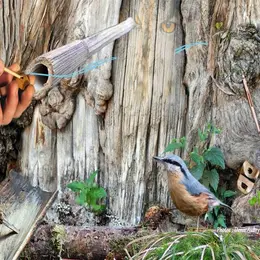 Atelier - La voix de l'oiseau