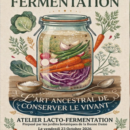 Atelier Lacto fermentation