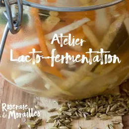 Atelier lacto-fermentation