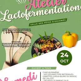 Atelier Lactofermentation