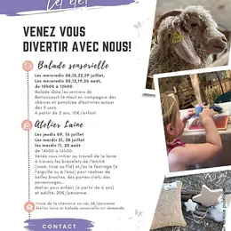 atelier laine