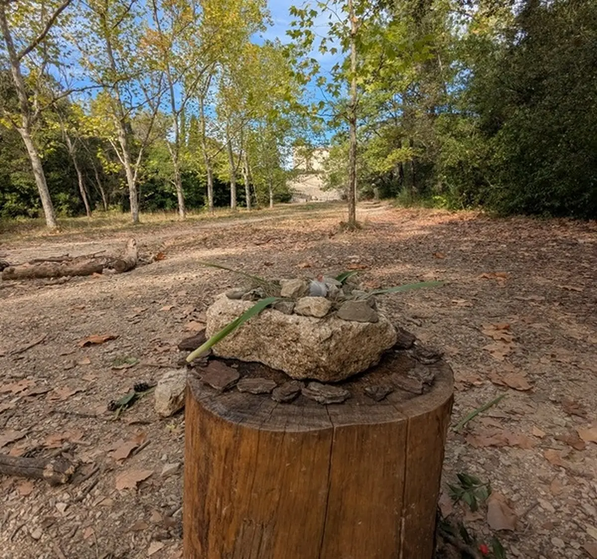 Atelier Land'Art Spécial Enfants
