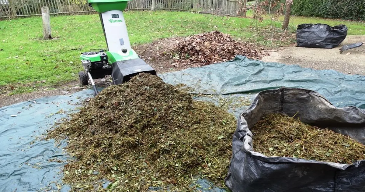 Atelier: Le jardinage au naturel et zéro déchet