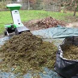 Atelier: Le jardinage au naturel et zéro déchet
