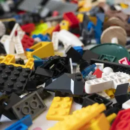 Atelier Lego® avec Anima’briques
