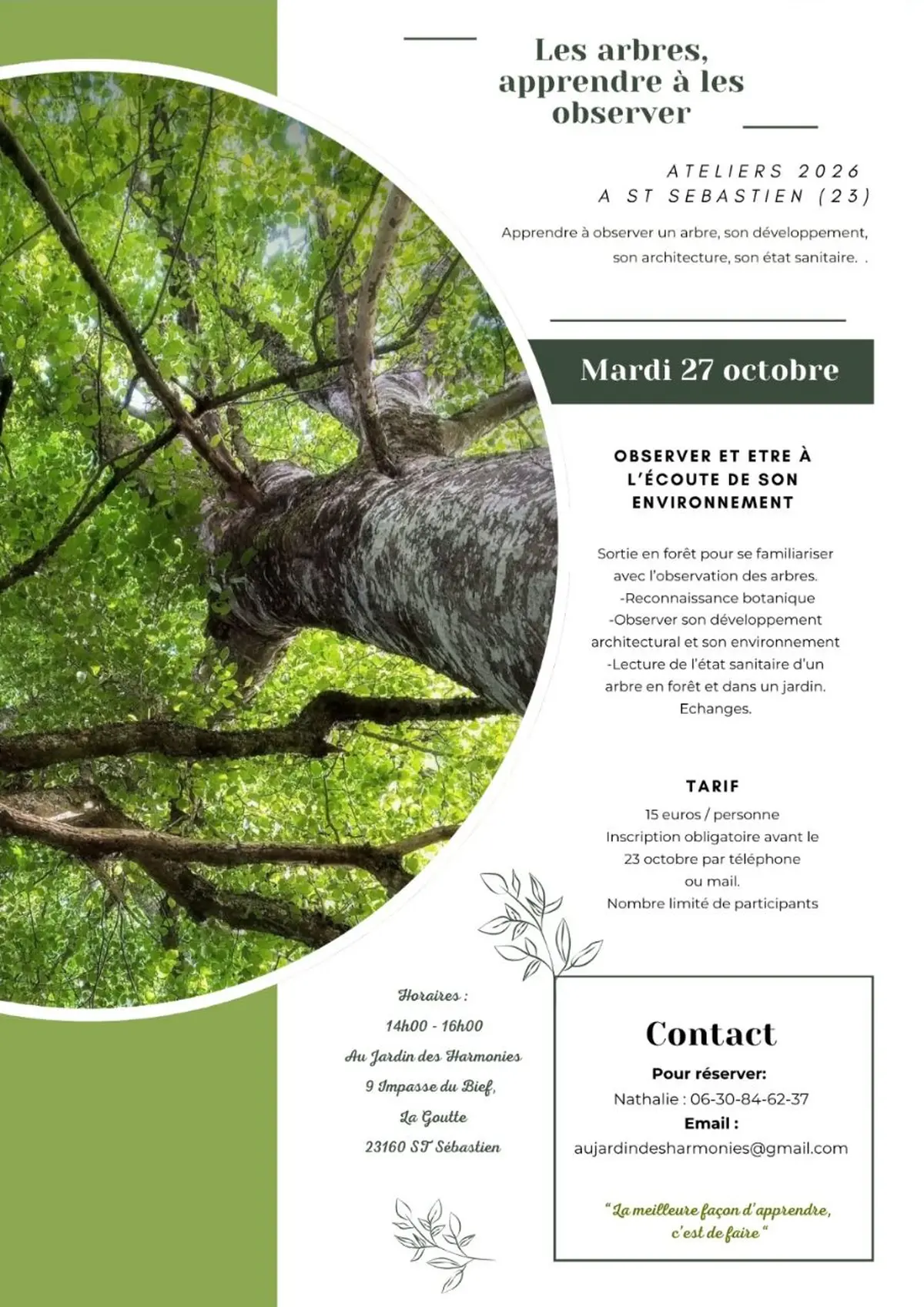 Atelier - les arbres, apprendre à les observer