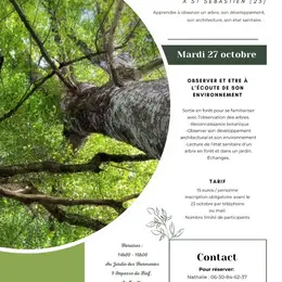 Atelier - les arbres, apprendre à les observer