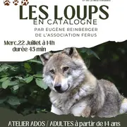 Atelier Les Loups En Catalogne