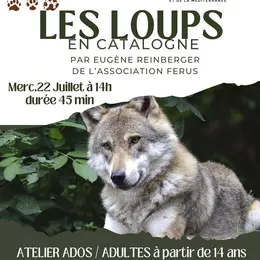 Atelier Les Loups En Catalogne