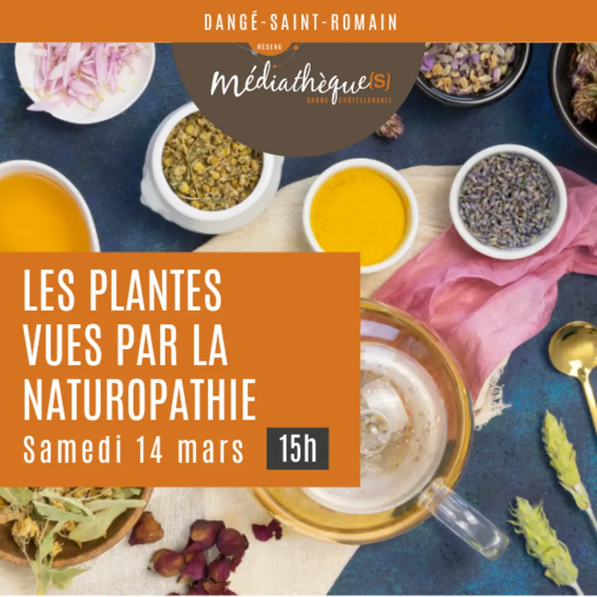Atelier : les plantes vues par la naturopathie