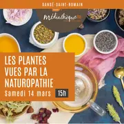 Atelier : les plantes vues par la naturopathie