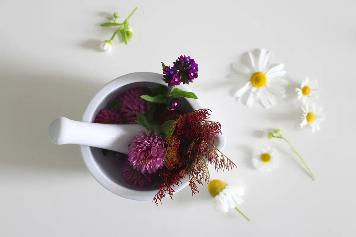 Atelier Les Potions De La Sorcière