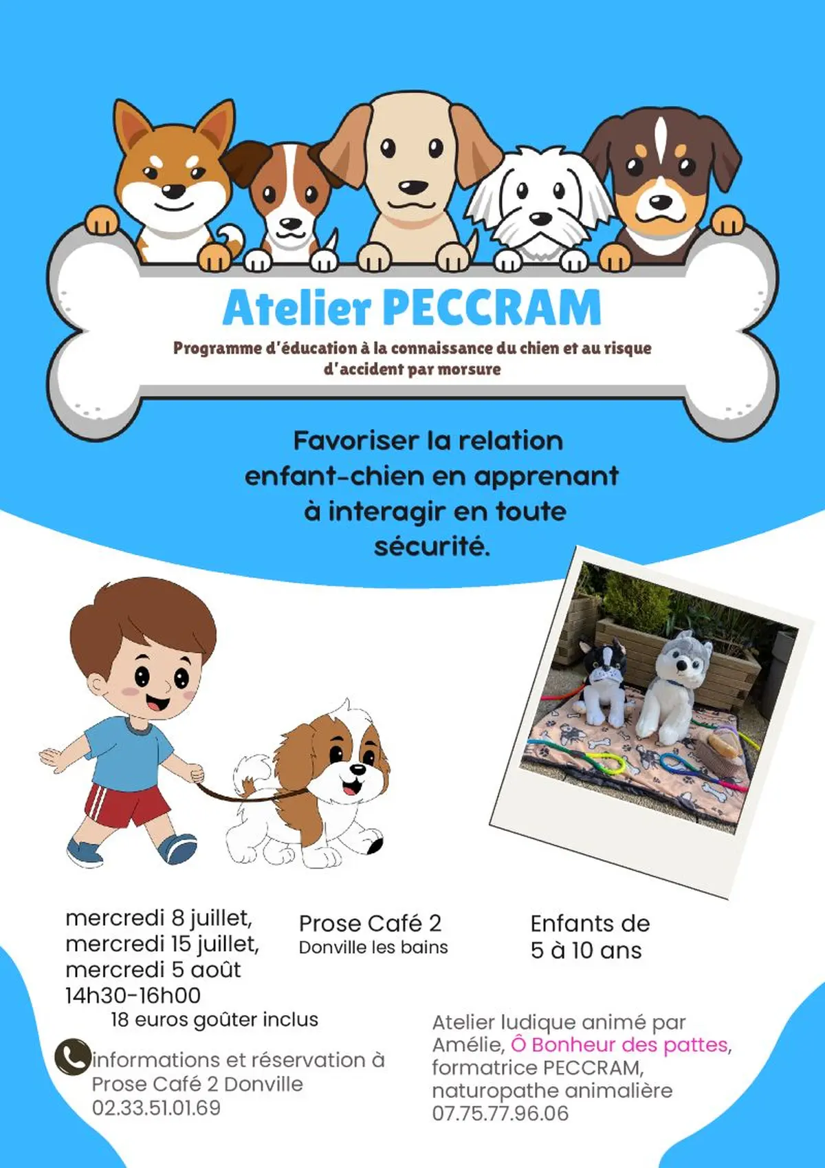 Atelier ludique pour comprendre le comportement canin