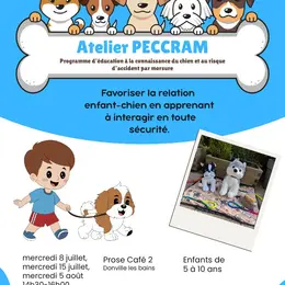 Atelier ludique pour comprendre le comportement canin