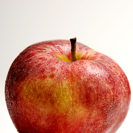 Atelier « Ma pomme »