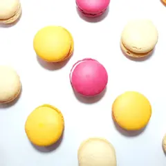 Atelier macarons à Montauban (82)