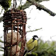 Atelier mangeoire végétale