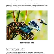 Atelier Mangeoires Mandala en Osier