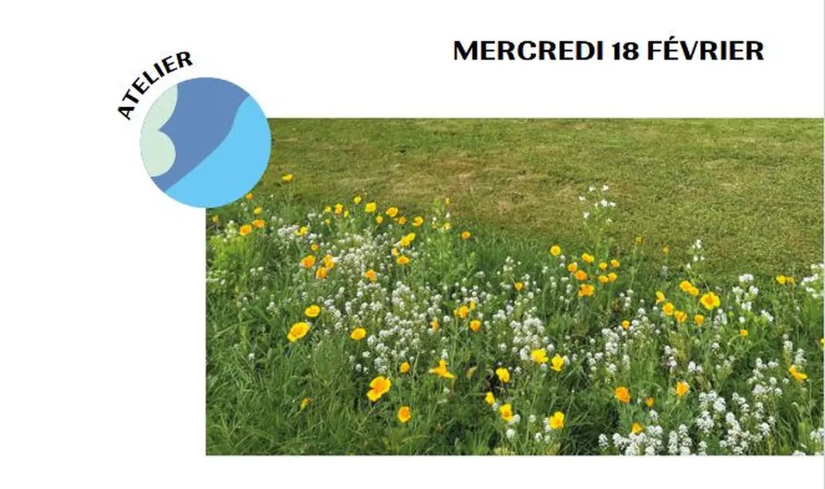 Atelier mauvaises herbes