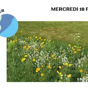 Atelier mauvaises herbes