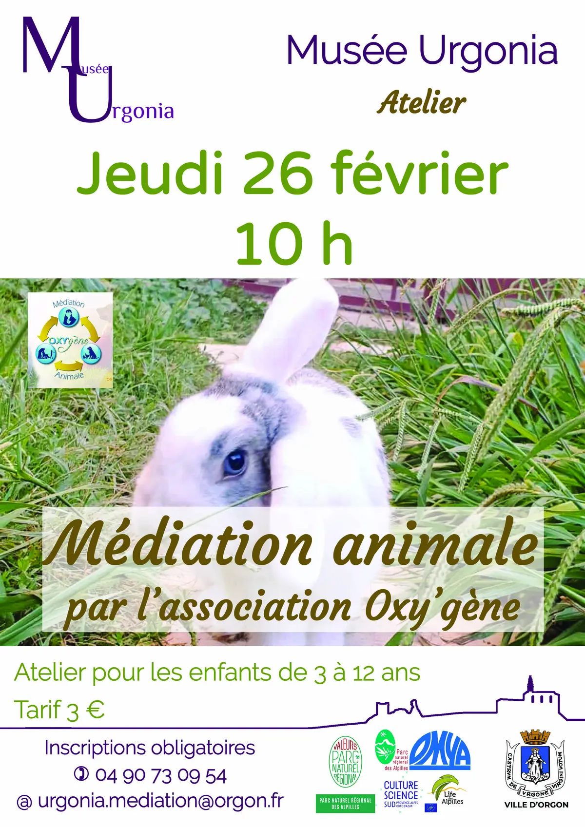 Atelier Médiation animale