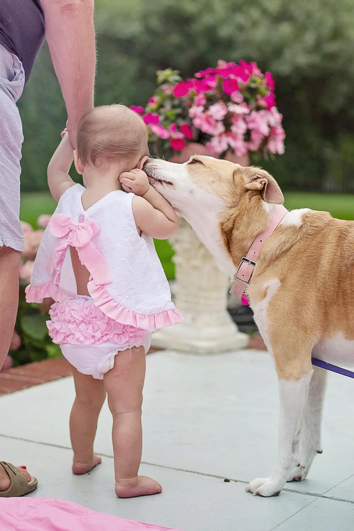 Atelier Médiation animale avec l'association  l'atelier des Loutres