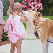 Atelier Médiation animale avec l'association  l'atelier des Loutres
