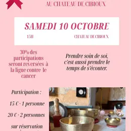 Atelier médiation et ancrage au château de Cibioux