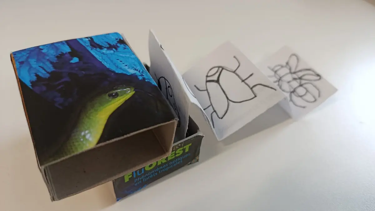 Atelier Mini Cabinet de Curiosit