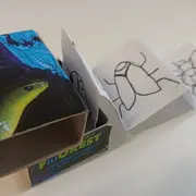 Atelier Mini Cabinet de Curiosit