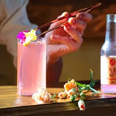 Atelier mixologie & création de cocktail à Bordeaux (33)