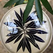 Atelier modelage Grande assiette en sgraffito à Aix-en-Provence